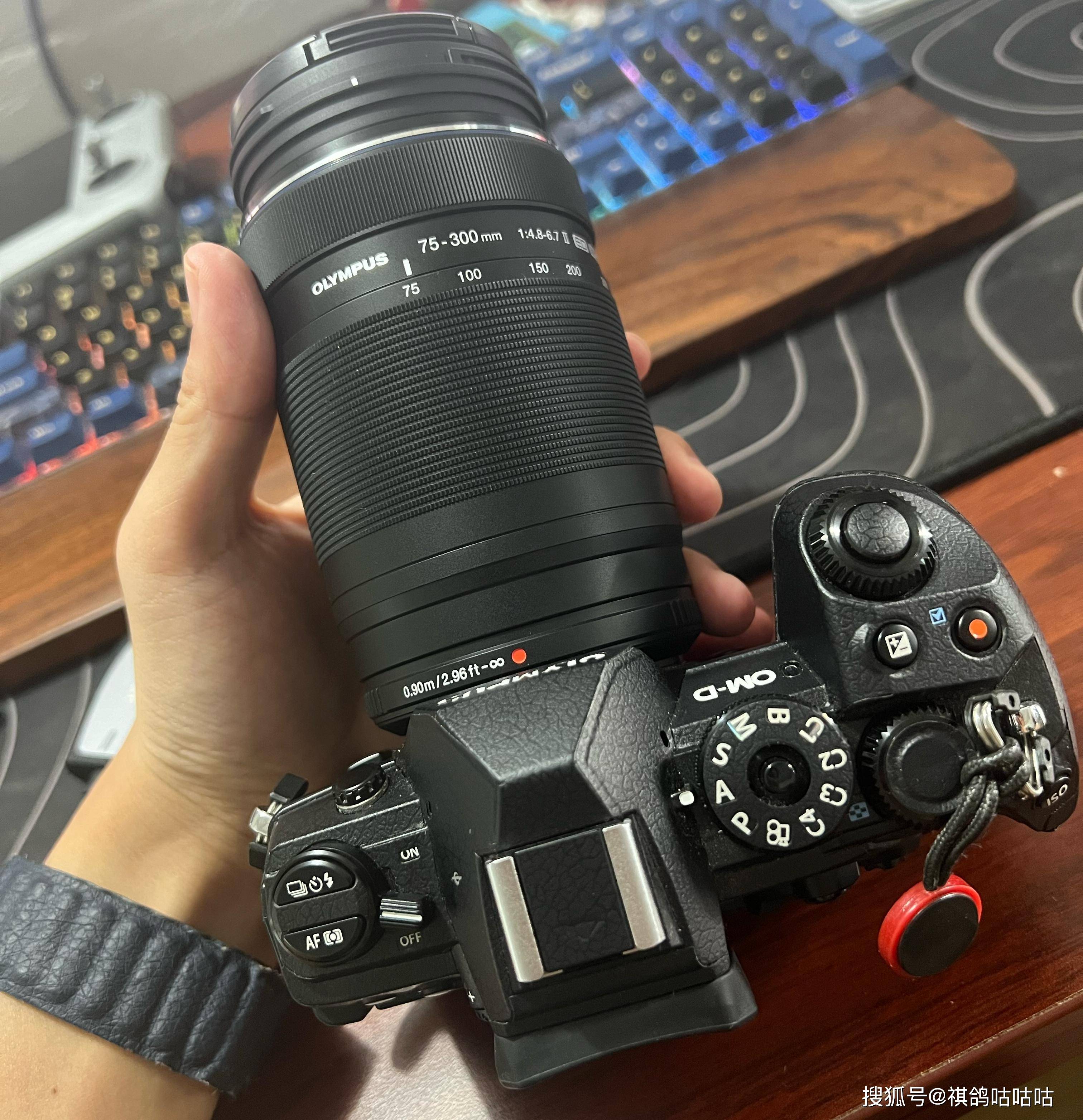 正所谓m43赚长焦,不赚广角,2倍的系数让它轻松做到600mm还能保持小