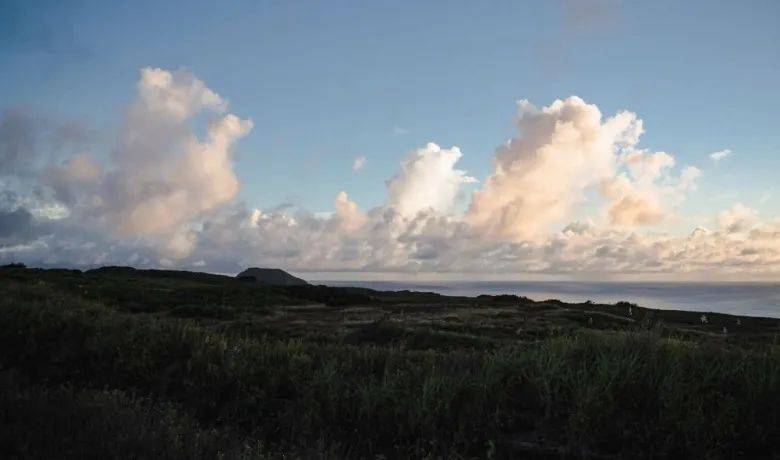 2024年前瞻:集成灶的危局与厨电业的机会-家电圈官网