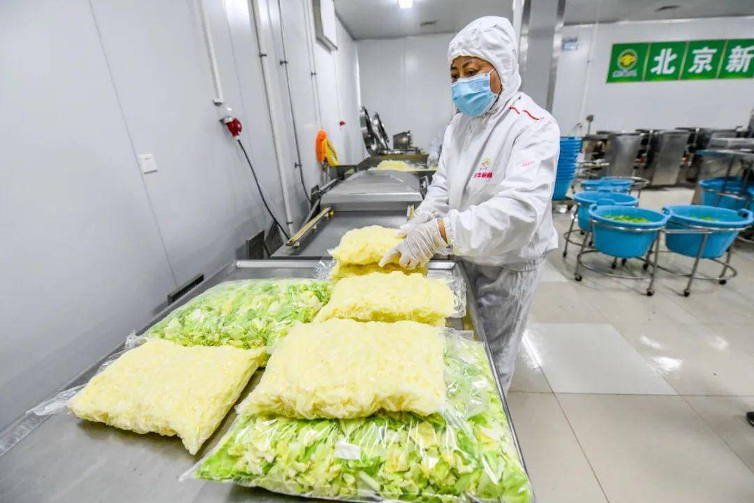 京城"菜篮子"今年果蔬垃圾减量7000吨