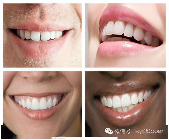 口腔修复医生必须知道的口腔数据_mm