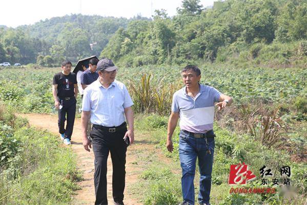 永州市政协秘书长王小波来东安县群力村调研