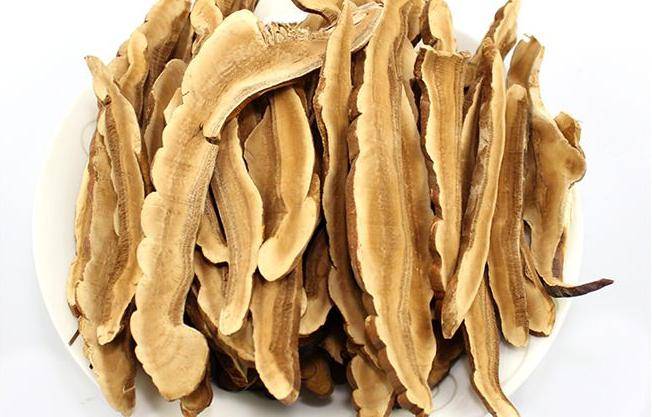 灵芝控制血糖的秘密 | 你知道吗?