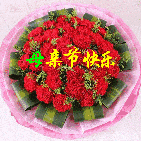 温情五月天感恩母亲节四6起航中队