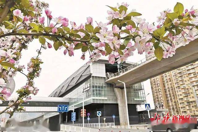 運動完,距離很近溜達回家還有葡山公園和石門營文化公園等基礎設施