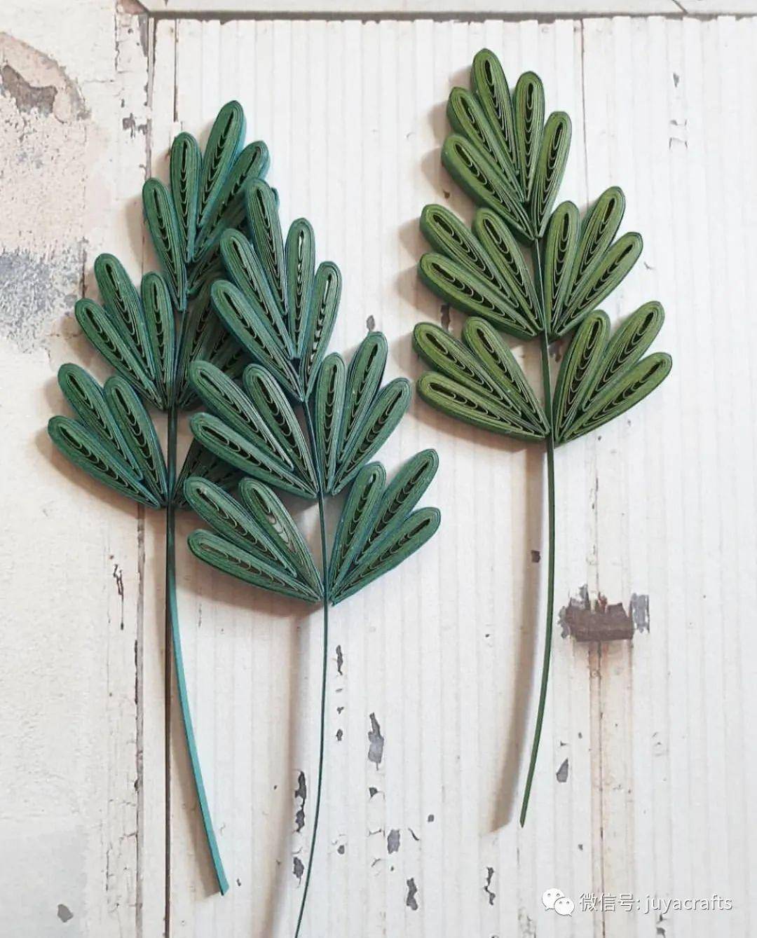 【大师作品】金海敬的衍纸叶子_造型