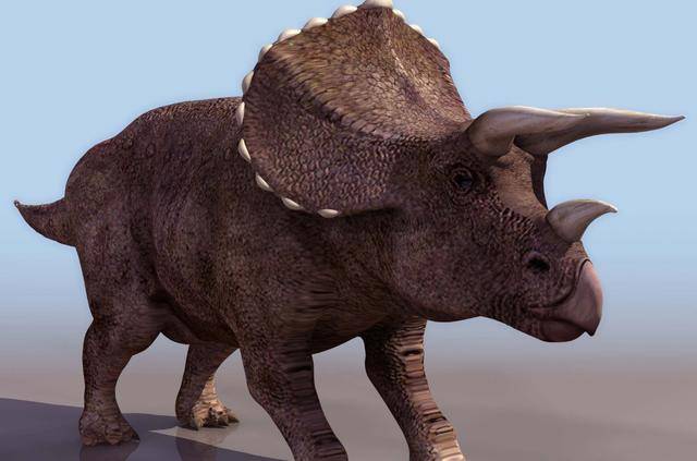 三角龙|远古"坦克",白垩纪的重型"武器"代表之一