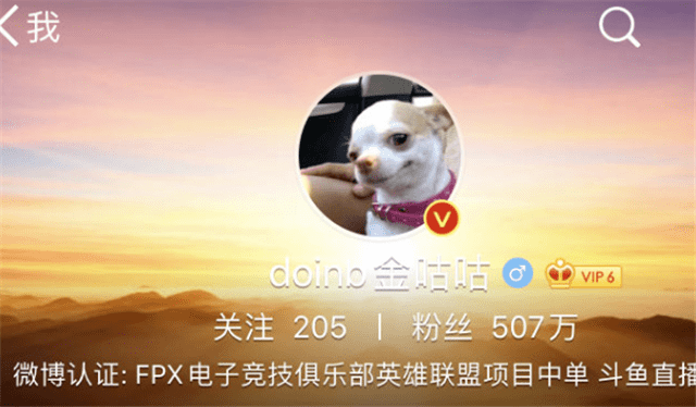 doinb头像换成小狗?