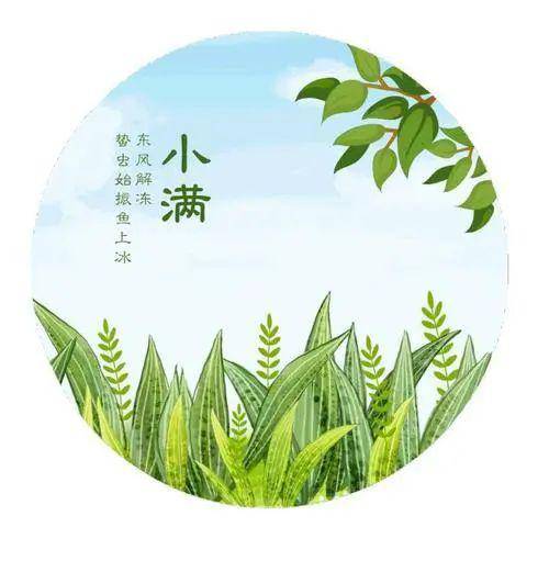 节气美食小满天逐热温风沐麦圆