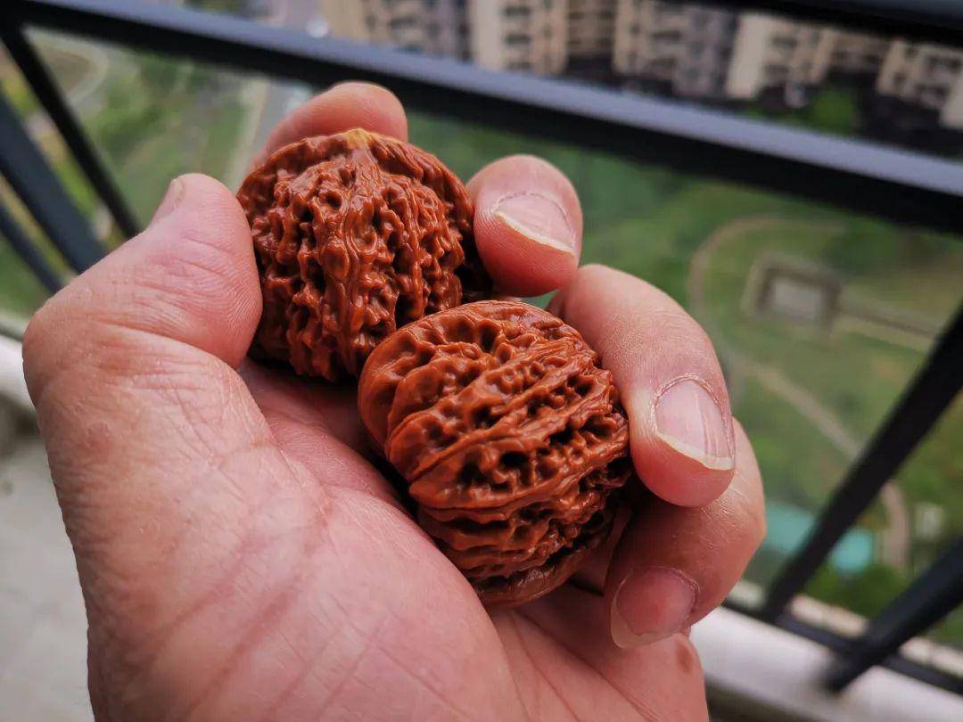 72个月,您就盘了这对黄尖的核桃,换我,早扔了!