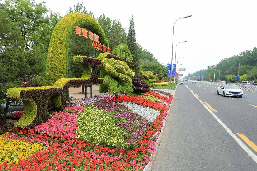 市区和平路上,绿雕扮靓城市街头市区艺术大道与银河北路交口,绿雕扮靓