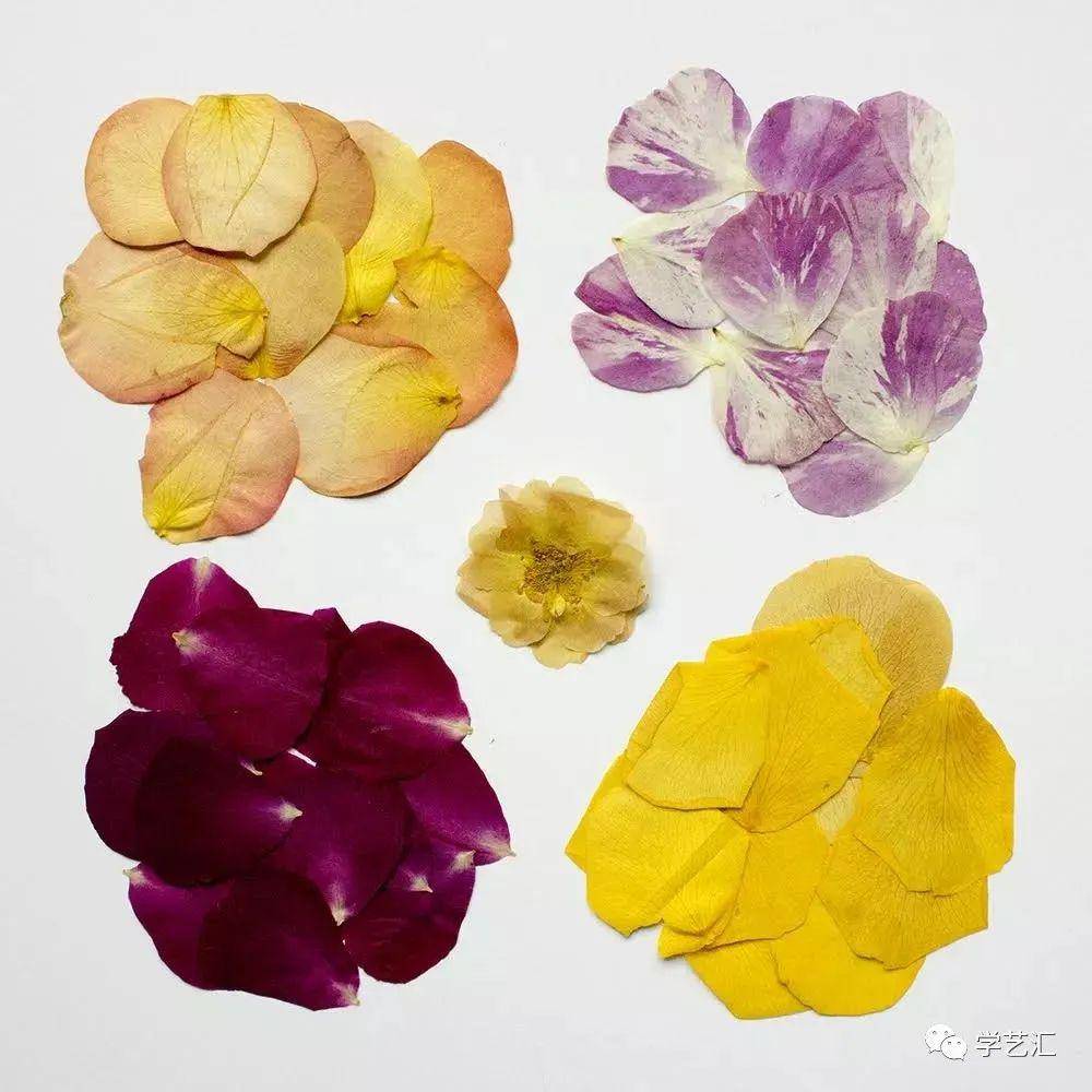 精美的压花工艺:两种不同的创意玩法!