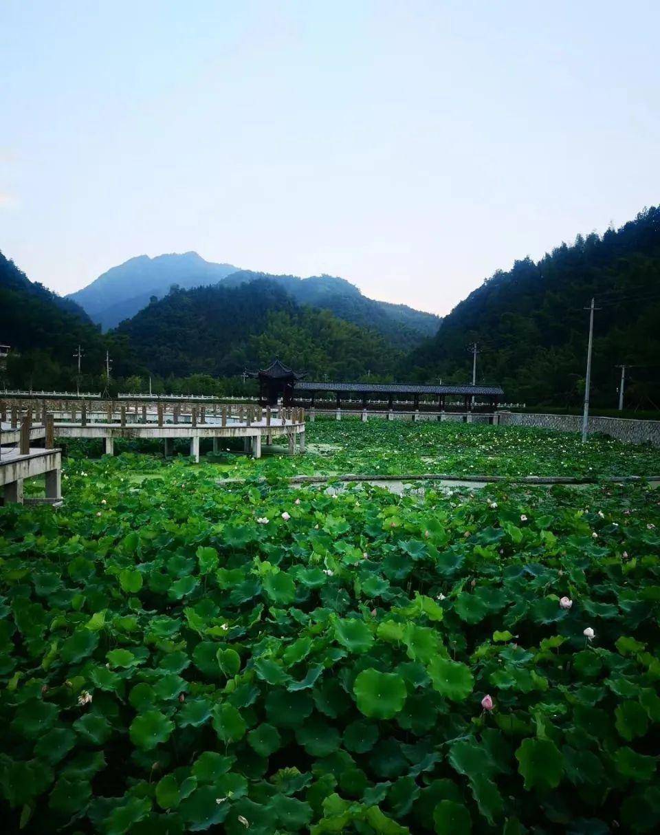 杜泽镇明果村多措并举推动村集体经济倍增