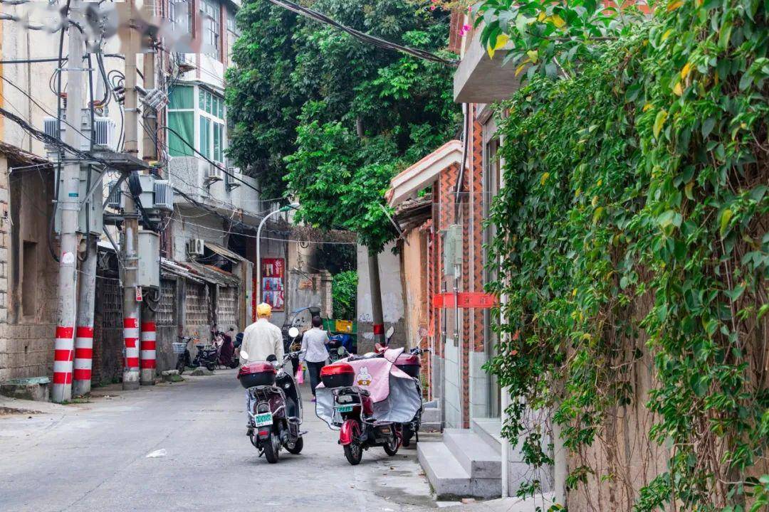 东起中山路,西接新华路,泉州这条700米古巷,我可以逛一下午.