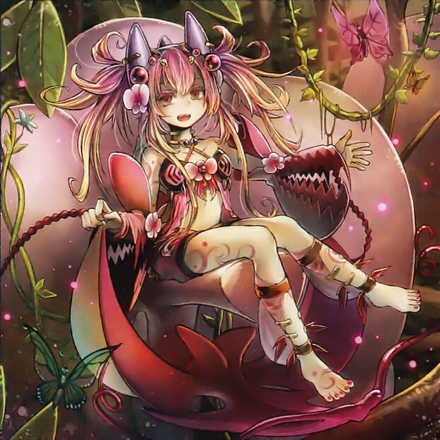 游戏王:萌妹子虫惑魔至于再次登录优胜榜了,看看她们是什么构筑登录