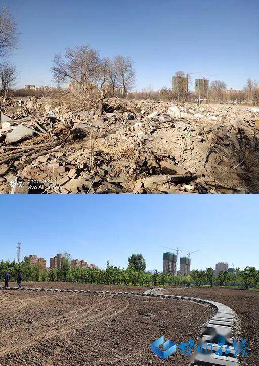 【城市精细化管理专题报道一】甘州:70块裸露土地披绿装 城市生态建设