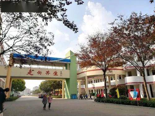 定了海安实验小学北校区进驻新通扬河生态区你最关心的是什么