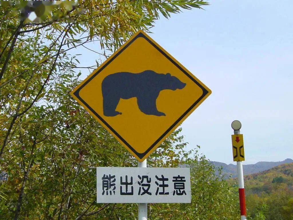 这个令人毛骨悚然的故事,好似日本在1915年发生的一起叫三毛别罴事件