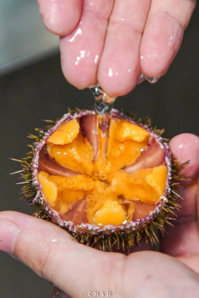 顺德这家日料店太"黄"了,吃一口就沦陷._海胆