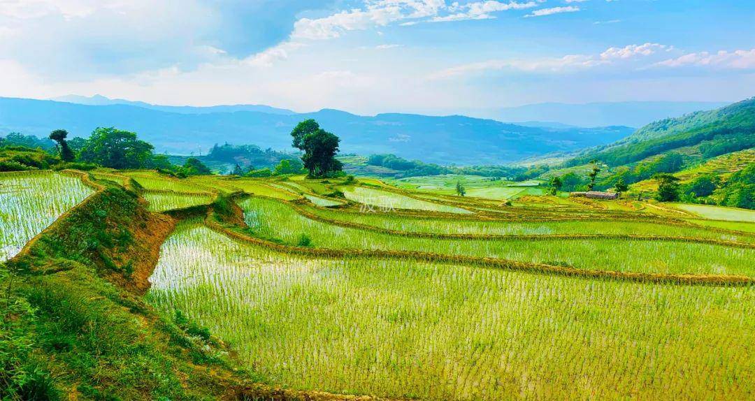 【波歌说】十年之前我不认识你,十年之后有了你和他_手机搜狐网