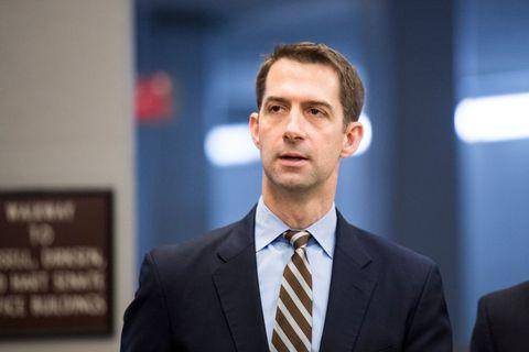 共和党鹰派联邦参议员汤姆·科顿虽然仅比霍利大两岁,但已是国会山的"