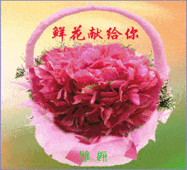 264_240gif 动态图 动图
