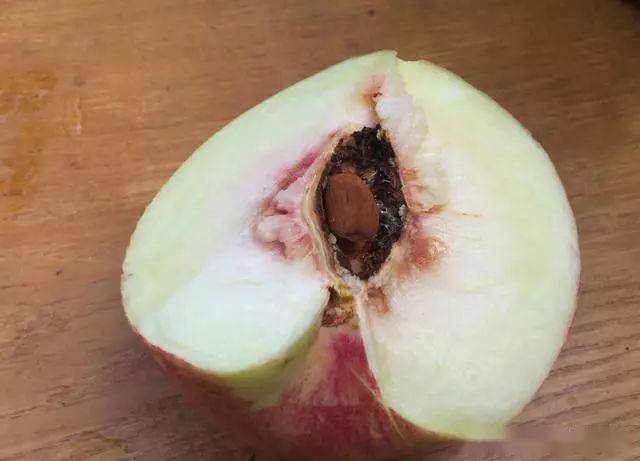 【赣南种植】桃子还没熟,就出现裂核炸核,怎么回事,怎么解决?