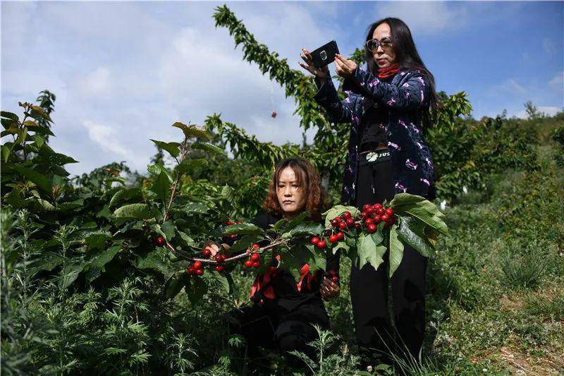 " " 来源:阿世刚 李雪  编辑:字金美 审核:郭丽珠 平台声明