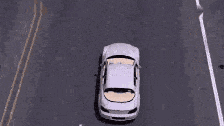 445_250gif 动态图 动图