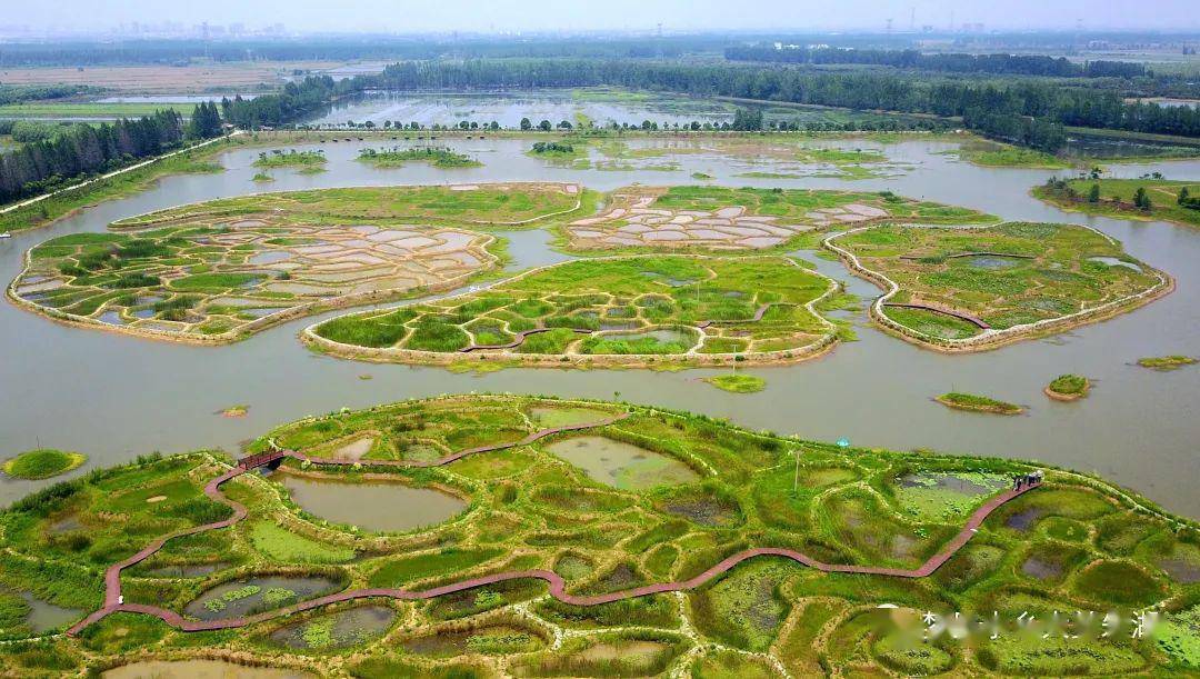 美女区长化身"抖音网红",为朱湖湿地代言