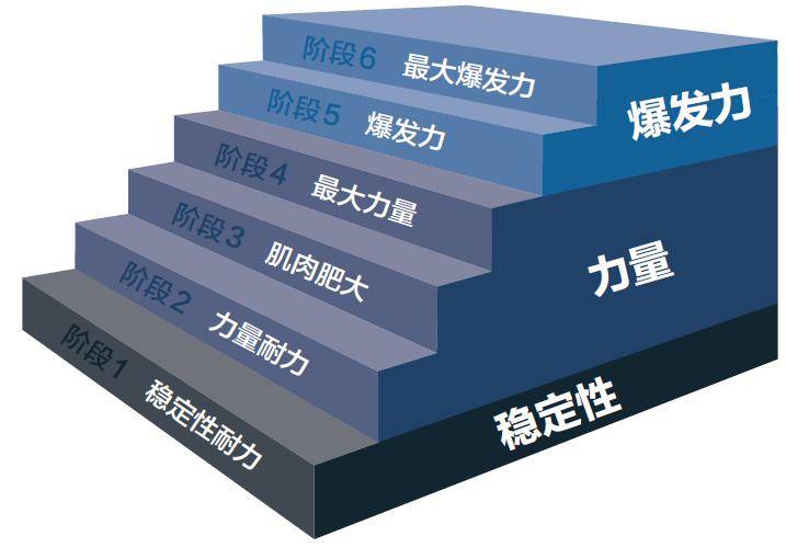Nasm Opt Module 新书赠送:NASM-PES认证教材中文版首次出版_运动