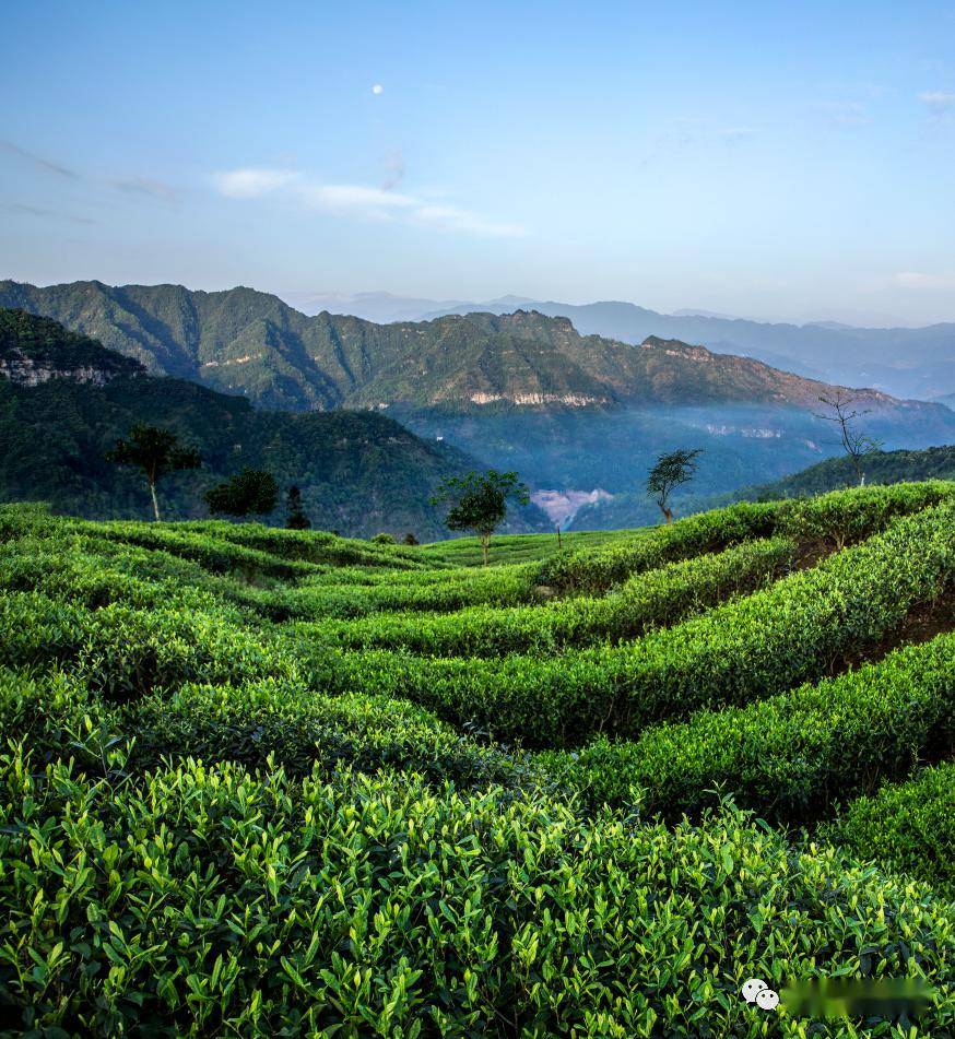 2小时68万人围观马边县领导直播带货火了