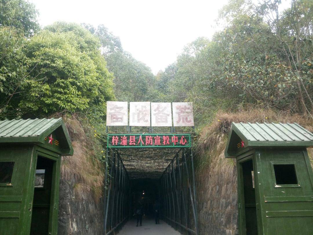 军事夏令营心智德体军中学习趣学酷玩营得成长