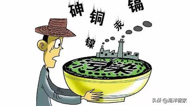 水污染有多严重?这些东西你还敢吃吗?