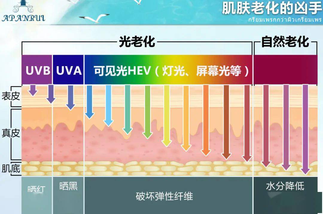 暴曬10分鐘,皮膚會早衰 10天 一位皮膚醫生做過實驗 用可測試紫外