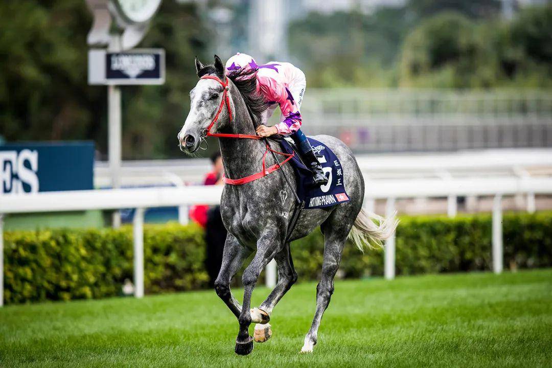 烽火台跳槽马与时间赛跑