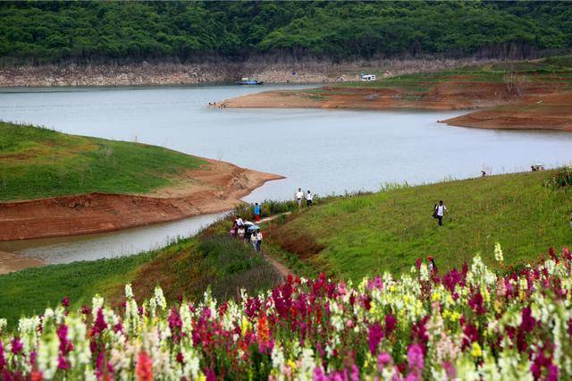 十堰這些景區免費進,惠遊攻略收好~_旅遊