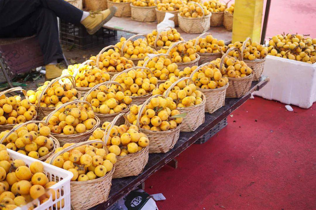 杭州在地计划 | vol.23:去塘栖吃枇杷