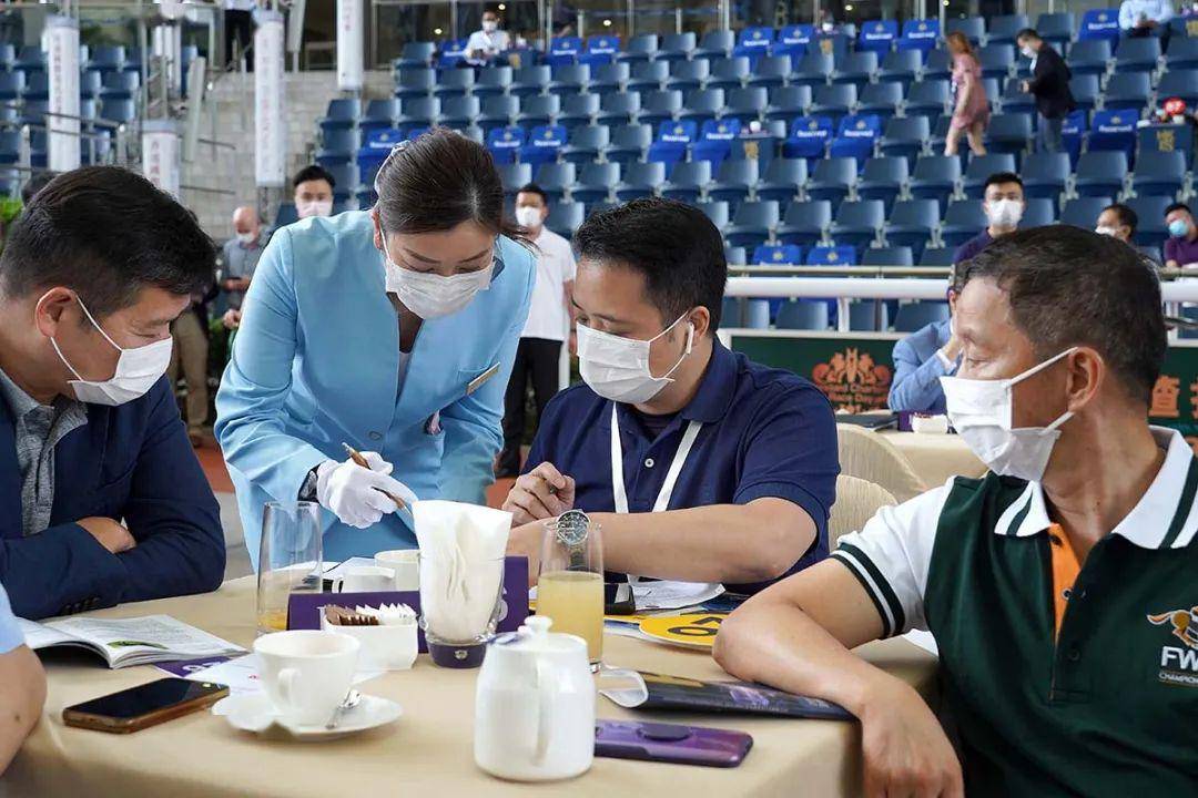 【香港国际马匹拍卖会】「巴基之星」马主投得kodiac子嗣