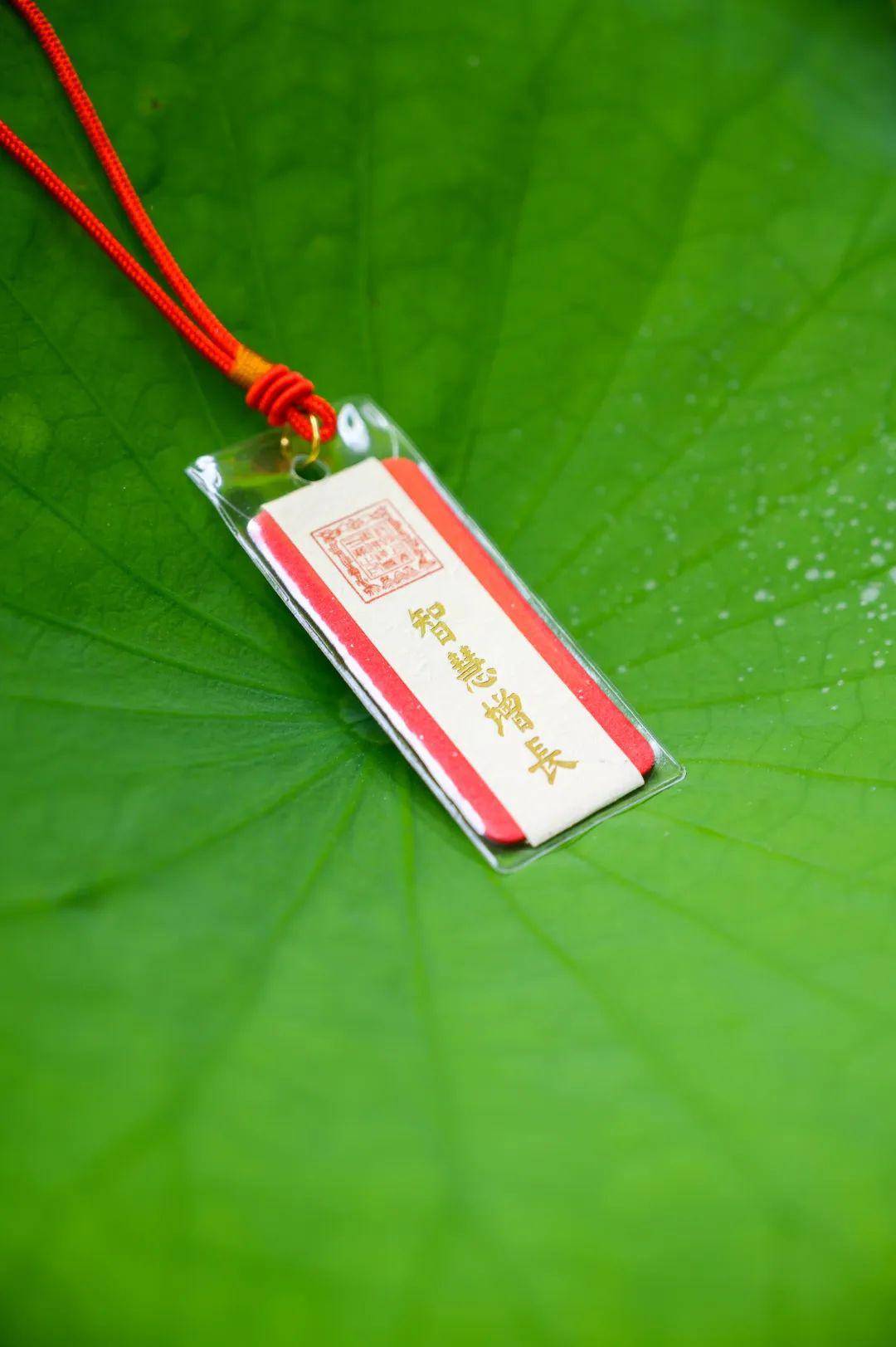 万份"文殊守护卡"随喜结缘!