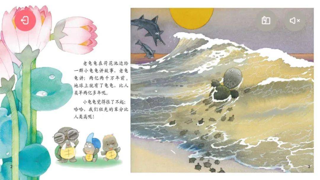 【娃娃绘本馆】---《乌龟真神气》-搜狐大视野-搜狐新闻