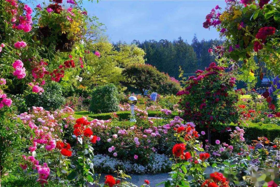矿老板的私家花园
