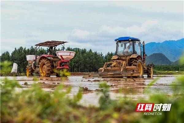农耕组图丨不误农时不负天晴