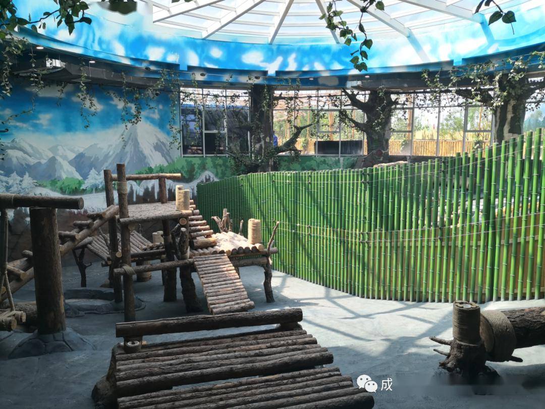 天津亿利动物园熊猫馆建设验收情况