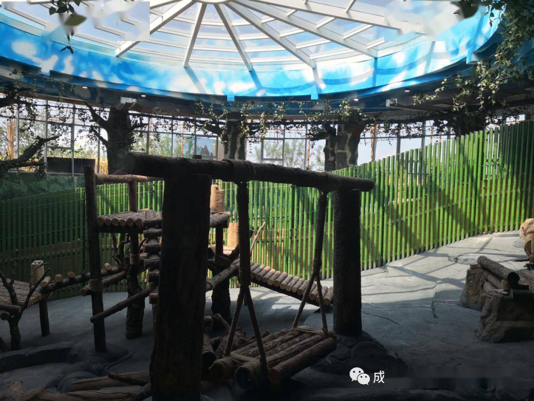 天津亿利动物园熊猫馆建设验收情况