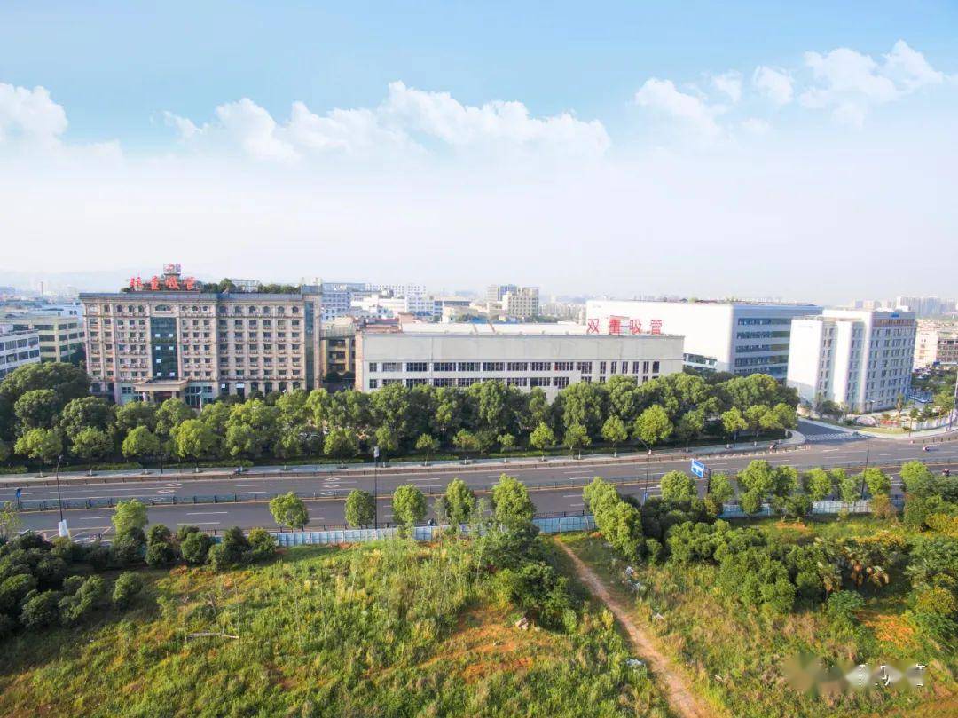 "双童"位列义乌工业a类企业第30名!一根吸管何以持续保持领先?