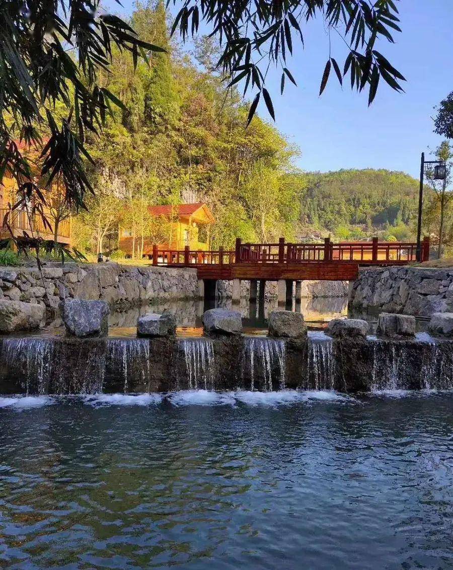 土城乡花栗树村首届花椒采摘节麻醉你的心