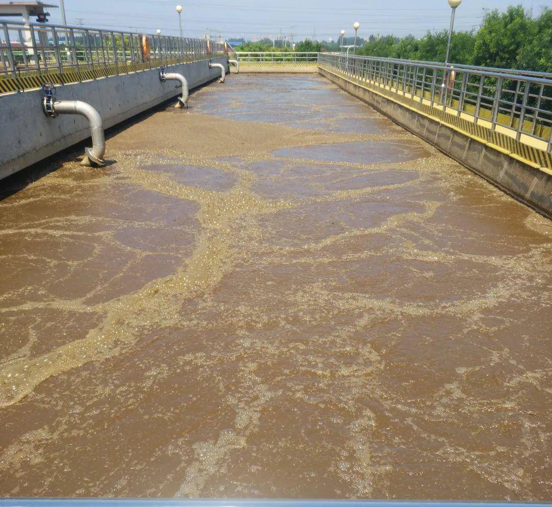 缺氧, 好氧三个部分,在aao生化池中主要利用活性污泥进行厌氧氨化