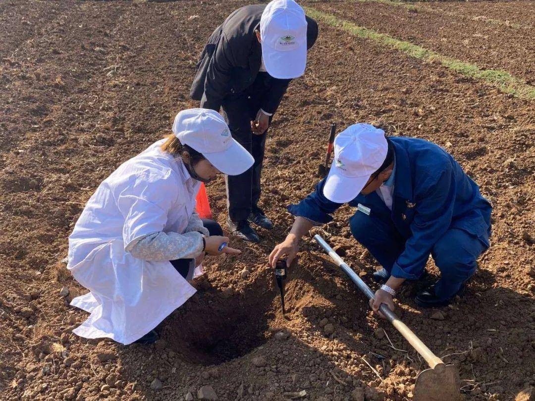 【顺丰科普】精准平衡施肥,还土壤一份健康