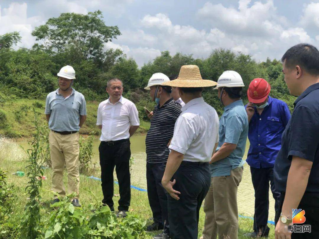 博白縣縣長孫國樑率隊深入一線實地調研玉林至湛江高速公路,陸川清湖