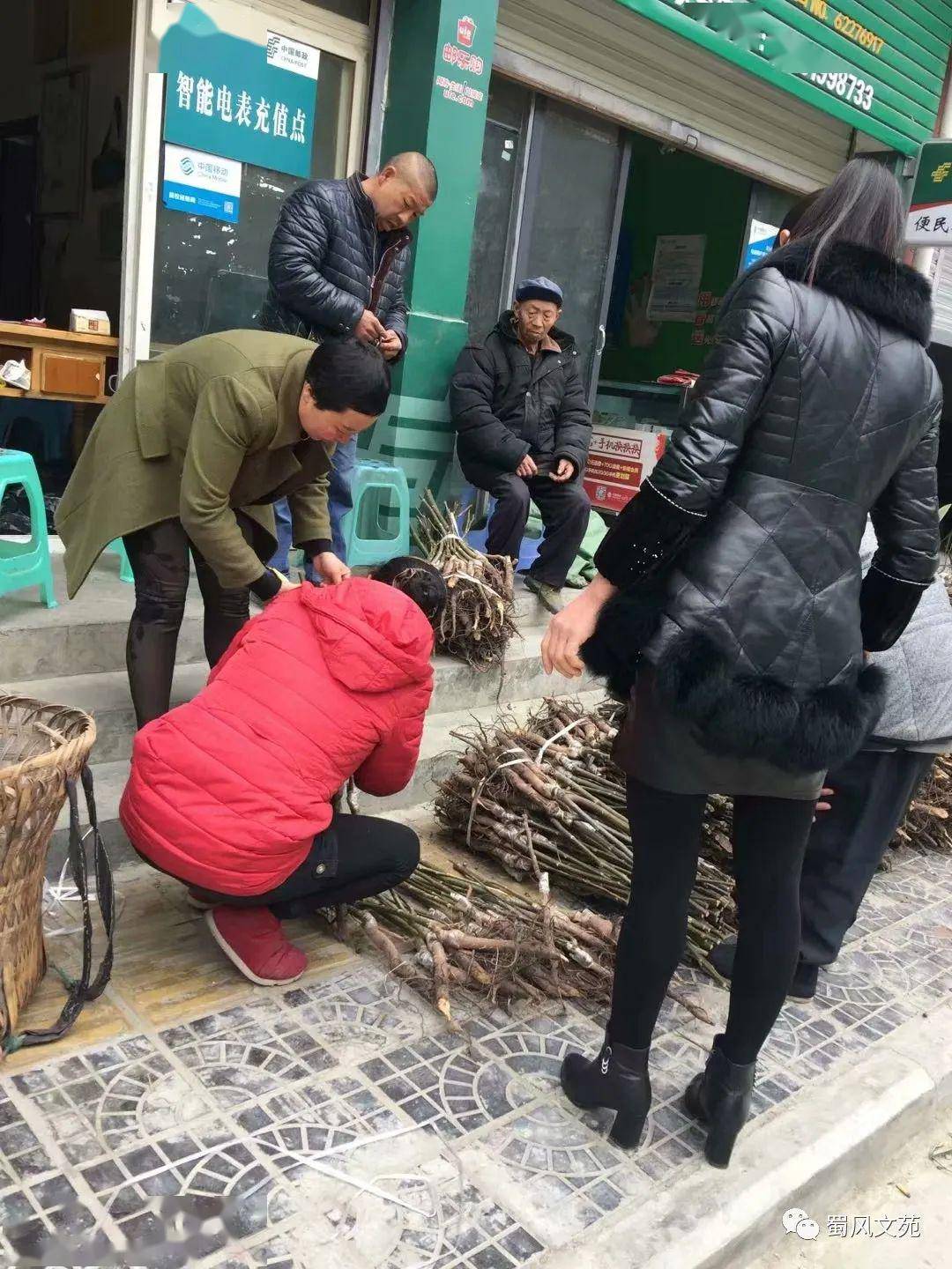 四川省绵阳市中级人民法院原党组书记,院长莫亚林被查